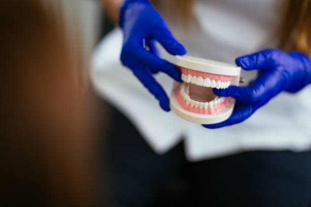 Best Traditional Braces  in Sebastopol, CA